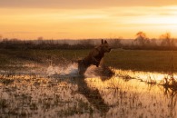 652f67c99df85ff7ed4fda8d24e05e51_195