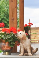 6566df41077be00317fd3fb944017a5b_130x195