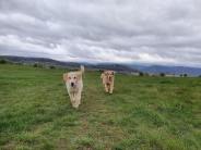 658db23b2d51934ed57422893f9ec16a_184x138_fill