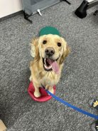 65dd10f3615c6ddefd8608fadcd0485d_138x184_fill