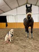 65dde99a24bfda44b9215746fc3d4b0f_138x184_fill