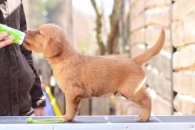 660da4fea89cba643ac1071afd9e6f96_195