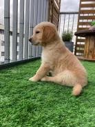 662e900ca7f9f684d43ac0ab68266fe9_138x184_fill