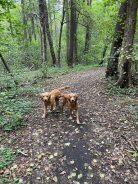 663cc5dfd457cf8ec5b636f8c241cab6_138x184_fill