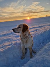 6683cfa95fa3f7303a33ef51827d409a_174x232_fill