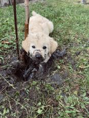 66f167bed6b44090e36d1b37f5abbeb2_174x232_fill