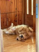 670fa6cc05e725472538b61ea551d3ec_138x184_fill