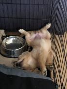 677e13e7517f751b9db9eac1e021359a_138x184_fill