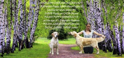 67c80db55f00854943943c6a6ee52243_438