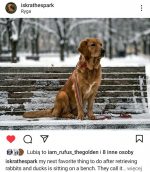 67d7b2e709658b4fffdb1482bbafebd7_150x172