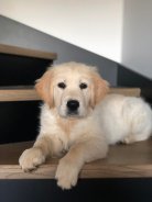 6825543774d7d4752d49b5fe7b4888c4_138x184_fill