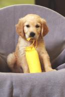 68471777d0cadf863de075e7146044d9_130x194