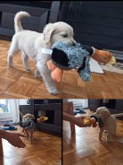 68bb07f9878cff25ad7c9873c5986104_138x184_fill