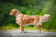 68d22093d6ef1dba0667f0326034e10b_195x130_fill