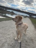 6932060b411a371d0af00c668d983e9d_138x184_fill