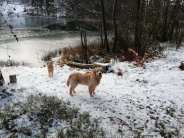 6992f835c3292f8f3b86bd7542218b78_184x138_fill