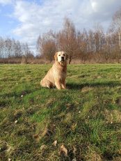 6a0845fead0918e30a9b7c276b71790d_174x231