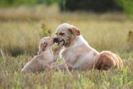 6aac9dde8b8dacb13671af2daf1a7cad_194