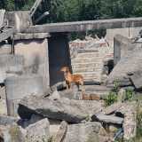 6aff573af7506fd00bcfdb1300149a51_160x160_fill