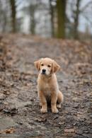 6b0b56ee7dd1269caf8966c50b98b41a_130x195