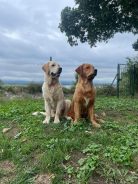 6b11a85c6e287fc04c22047074474986_138x184_fill