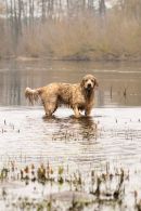 6b174206d23079da5561828c817ca3ba_130x195