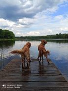 6b397f0716b90aa00ad322a47472f277_138x184