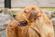 6b3f11fca4669a92f18fcf9dfc8d7498_195