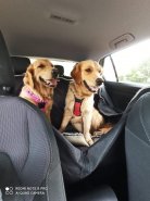 6b4498790e74d8c5246aa3608102c79f_138x185