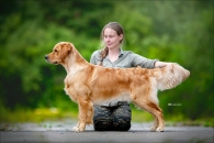 6b87747a347da4ff8dc4d8cfbc8998ed_195