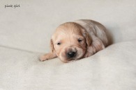 6bca3956ec4820a81c378251a5caf7ca_195