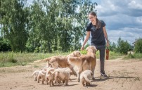 6bd6c2cc05976a87905275b818be3d15_202