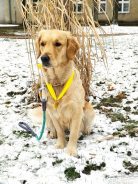 6c6779348f6325ed1473b67c6c31fcdc_138x184_fill