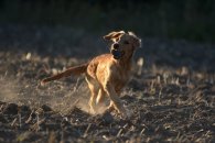 6c7c25a76bad858f20e346d0712562fa_195