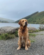 6c81a8292f1766cc8ba4436d65259201_144x178