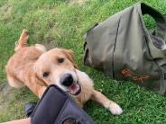 6c907109dfe66a904947237bf5878286_184x138_fill