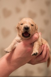 6c98ea253b4e800dd7aa89b4cb99c463_164x246