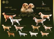 6d104526205b81f34b32d3c5071812fb_190