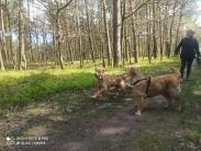 6d2962ebb9fdc1955578cbd0591b6565_183