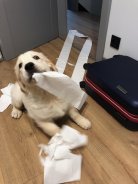 6d55bf8e5544ccde8ce12f4e1a3e1c45_138x184_fill