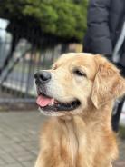 6d90e898b5e0a6299b6dfaff81b0716e_138x184_fill