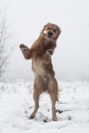 6e074cf7a8e9333533adb7edbd8afef8_130x194