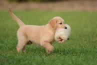 6e946010241dd512c95bc0aebafbc4af_194