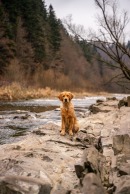 6edf1b37aa8d23c1d029b91e28246744_130x194