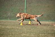 6f36bf53ae6e1c02ed8b7923a12af899_195x130_fill