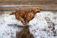 6f7d45ccdd47157d0faf96747ba9e9f1_195