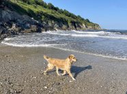 6febd5f0953866045c29d30c8f0f19be_186