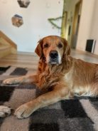 70113b4bce3ea0dc1dfdfe7b3362aed1_138x184_fill