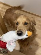 703c3e13b18b38c4ae35651080240917_138x184_fill