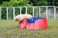 7069f02b3f8b1a20a9ed00677dee0384_195